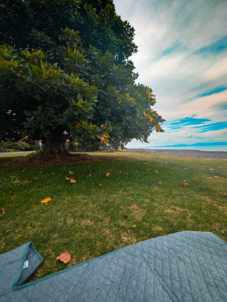 naina redhu, naina.co, new zealand, auckland, whakatiwai, seabird coast, beach, reserve, tourism, travel photographer, ocean, self portraits, writer, blogger, experience collector, Adelaide photographer
