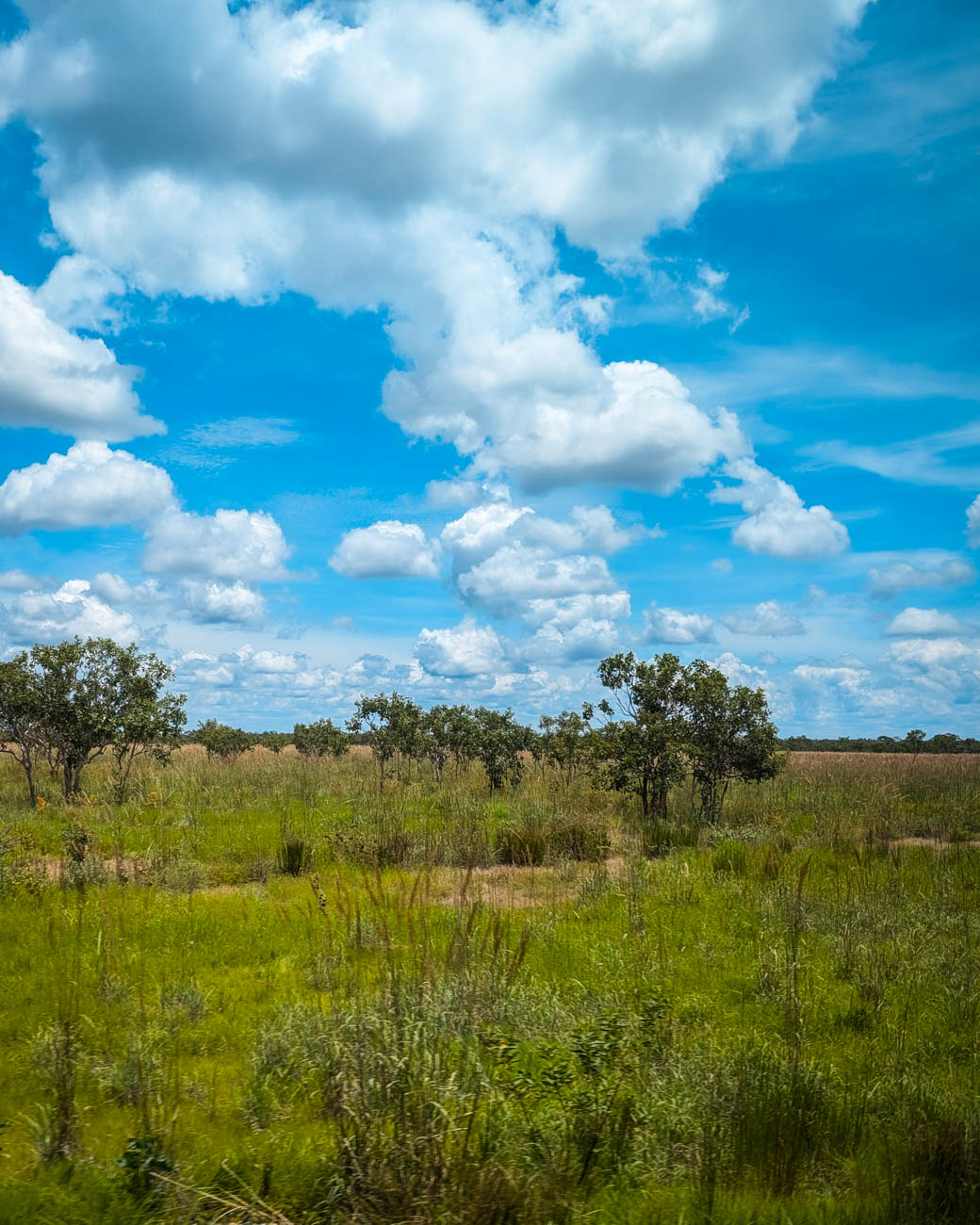 naina redhu, naina.co. journey beyond rail, the ghan, nitmiluk gorge cruise, boat, Australia, Australian countryside, by train, rail journeys, travel photographer, locomotive, write, blogger, experience collector, aboriginal land, Adelaide photographer, northern territory, Katherine, North Australia, off train experiences, great southern rail, Australian tourism, Darwin, Adelaide, South Australia, Tourism, Journey Beyond, Luxury Travel, hospitality