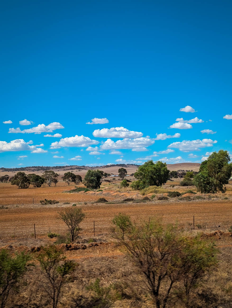 naina redhu, naina.co. journey beyond rail, the ghan, nitmiluk gorge cruise, boat, Australia, Australian countryside, by train, rail journeys, travel photographer, locomotive, write, blogger, experience collector, aboriginal land, Adelaide photographer, northern territory, Katherine, North Australia, off train experiences, great southern rail, Australian tourism, Darwin, Adelaide, South Australia, Tourism, Journey Beyond, Luxury Travel, hospitality