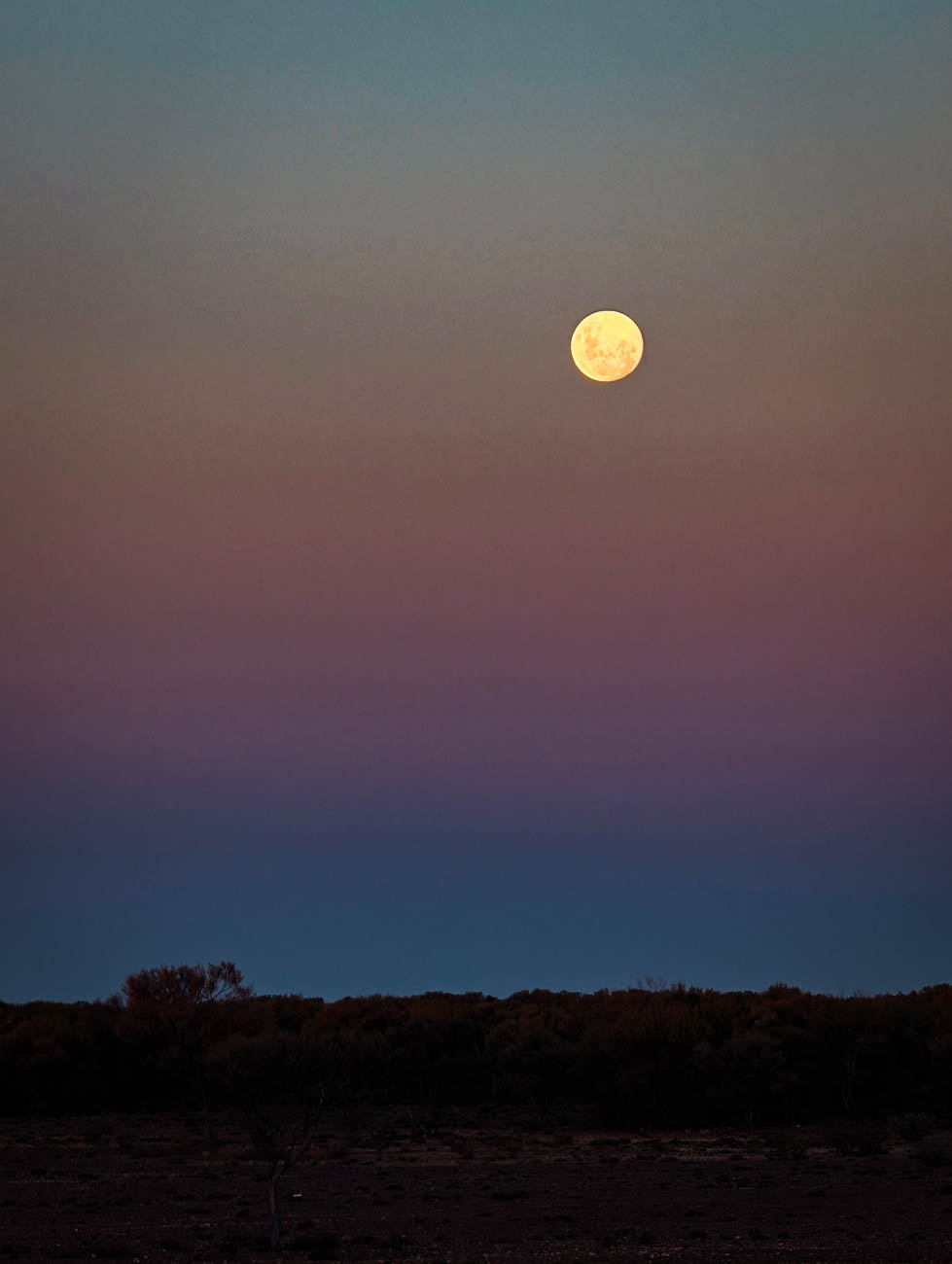 naina redhu, naina.co. journey beyond rail, the ghan, nitmiluk gorge cruise, boat, Australia, Australian countryside, by train, rail journeys, travel photographer, locomotive, write, blogger, experience collector, aboriginal land, Adelaide photographer, northern territory, Katherine, North Australia, off train experiences, great southern rail, Australian tourism, Darwin, Adelaide, South Australia, Tourism, Journey Beyond, Luxury Travel, hospitality