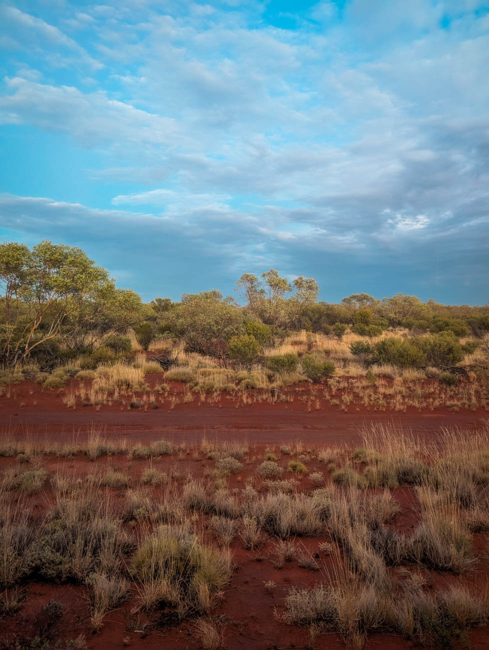 naina redhu, naina.co. journey beyond rail, the ghan, nitmiluk gorge cruise, boat, Australia, Australian countryside, by train, rail journeys, travel photographer, locomotive, write, blogger, experience collector, aboriginal land, Adelaide photographer, northern territory, Katherine, North Australia, off train experiences, great southern rail, Australian tourism, Darwin, Adelaide, South Australia, Tourism, Journey Beyond, Luxury Travel, hospitality