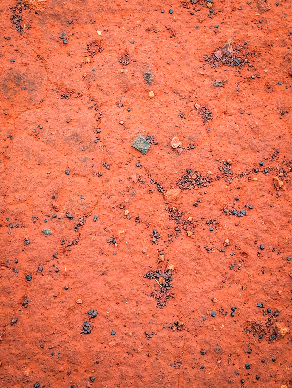 naina redhu, naina.co. journey beyond rail, the ghan, nitmiluk gorge cruise, boat, Australia, Australian countryside, by train, rail journeys, travel photographer, locomotive, write, blogger, experience collector, aboriginal land, Adelaide photographer, northern territory, Katherine, North Australia, off train experiences, great southern rail, Australian tourism, Darwin, Adelaide, South Australia, Tourism, Journey Beyond, Luxury Travel, hospitality