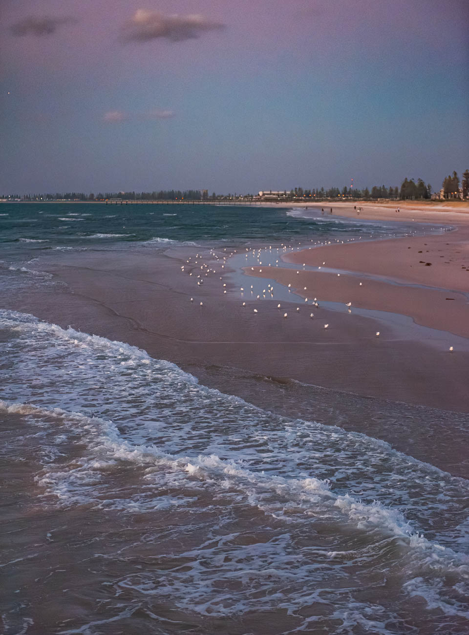 Semaphore Seashore close to Adelaide, South Australia Semaphore Seashore close to Adelaide, South Australia