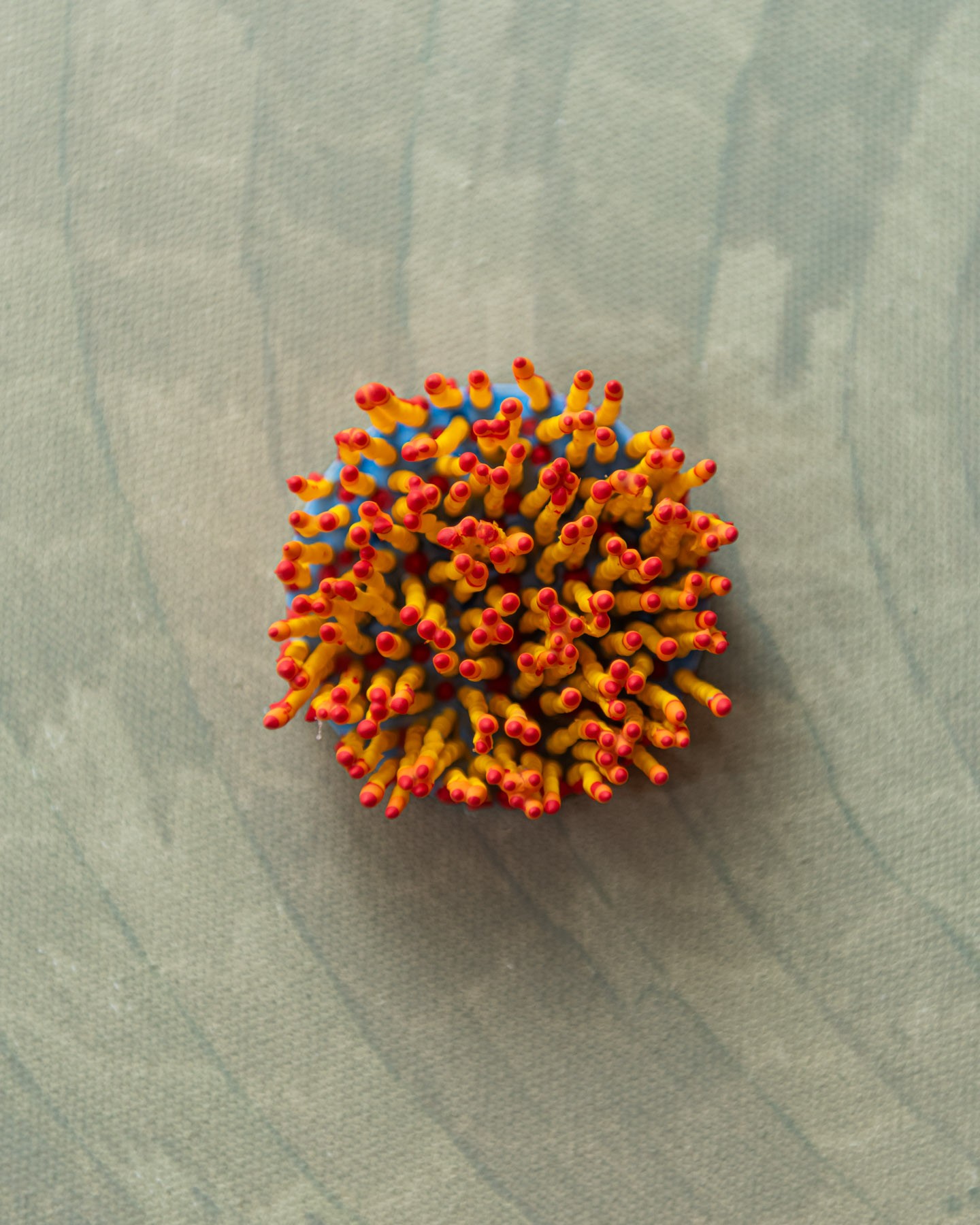 Aureth, 2026. Anthesis Series. Wearable Art Brooch - Image 9