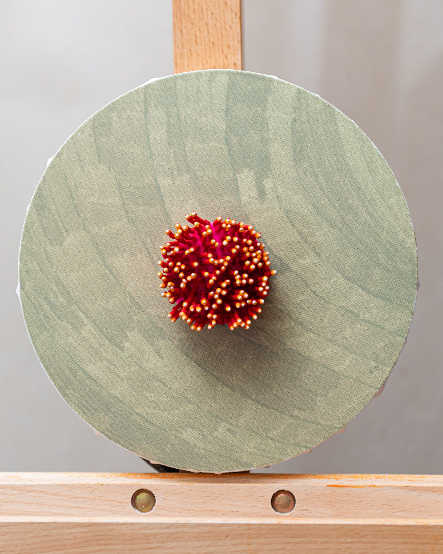 Avenor, 2026. Anthesis Series. Wearable Art Brooch - Image 10