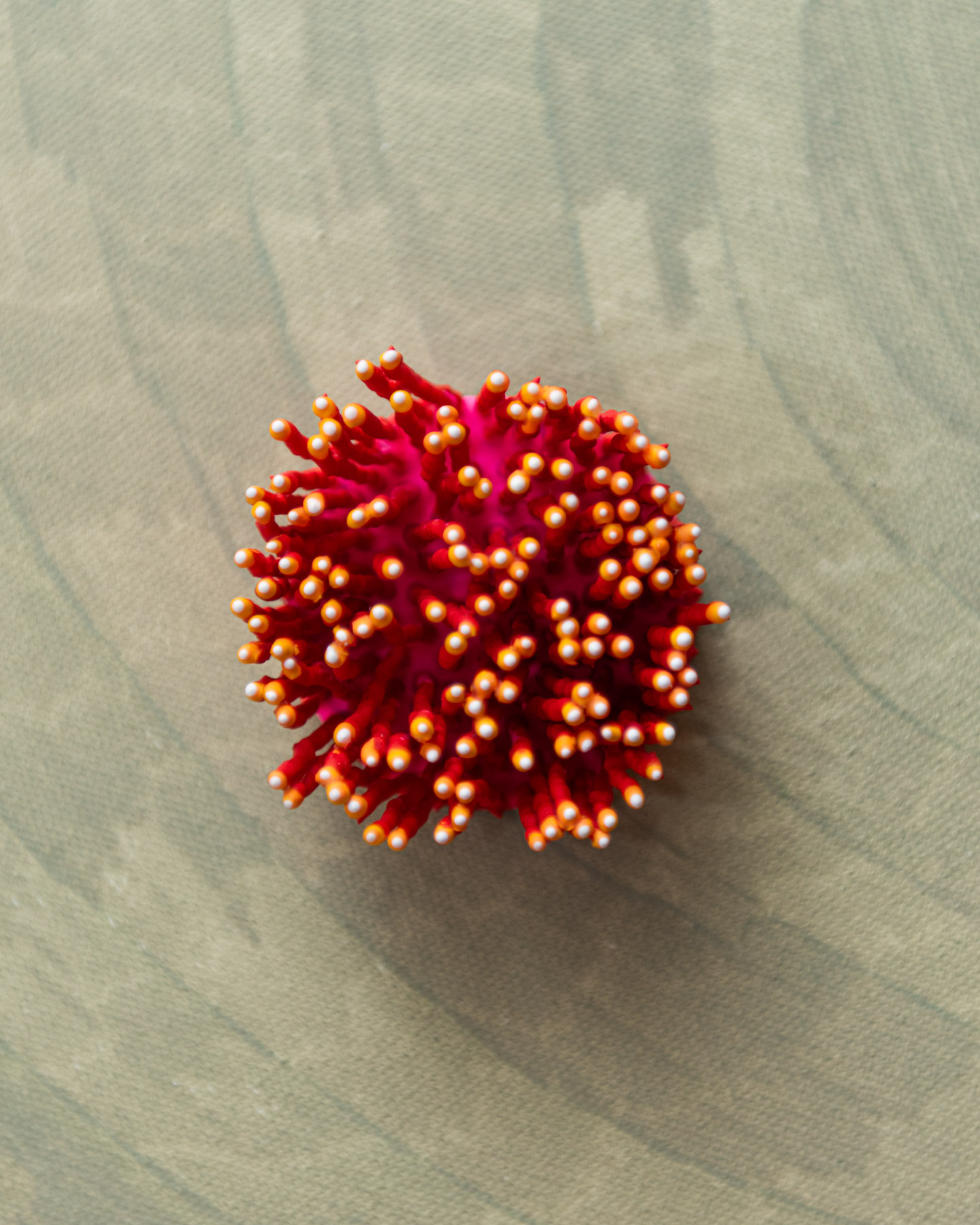Avenor, 2026. Anthesis Series. Wearable Art Brooch - Image 9
