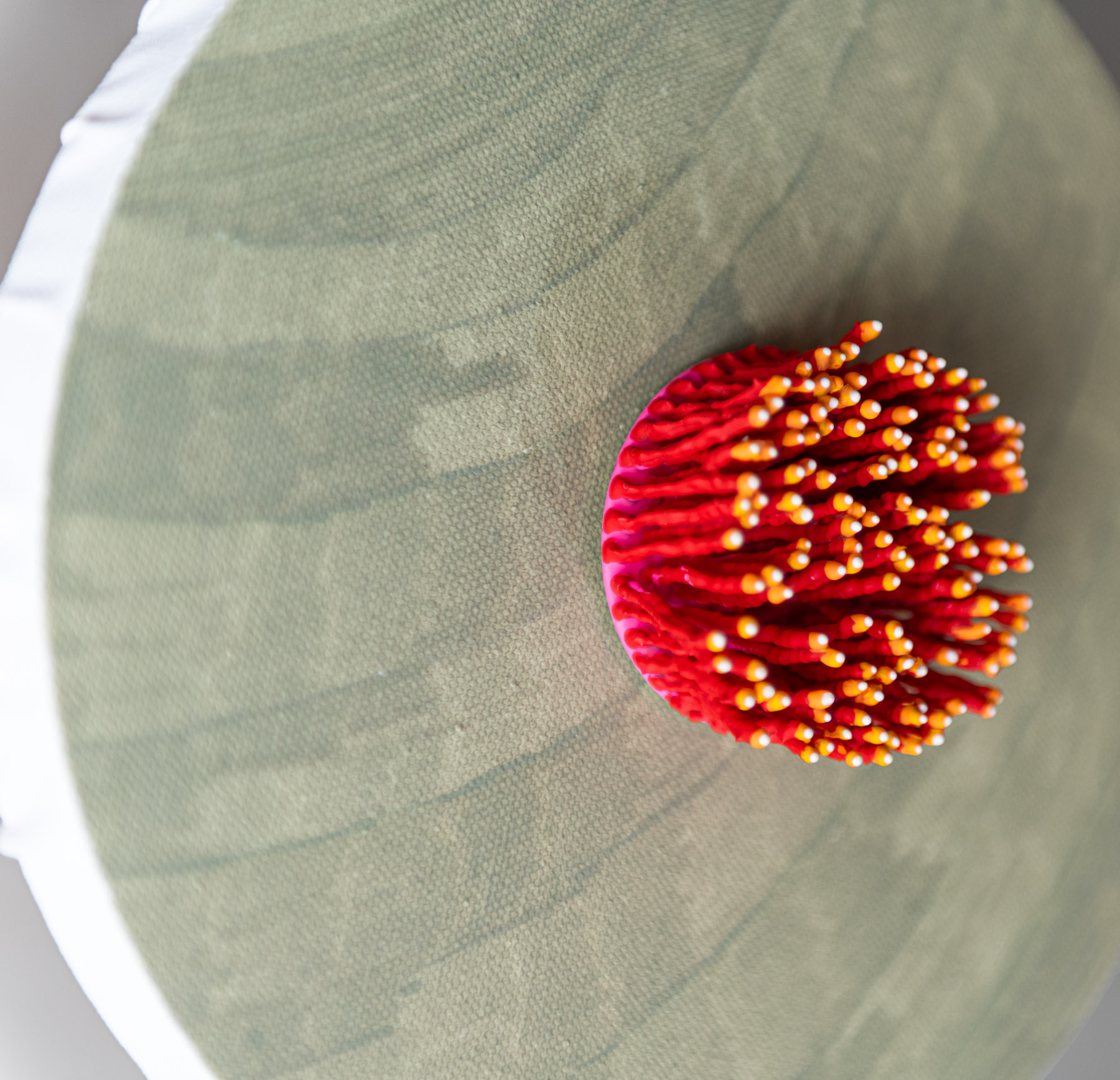 Avenor, 2026. Anthesis Series. Wearable Art Brooch - Image 11