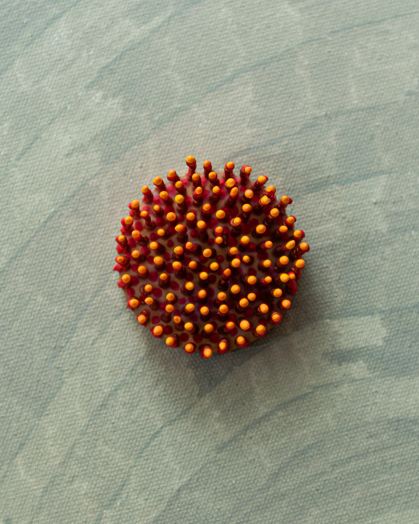 Caelor, 2026. Anthesis Series. Wearable Art Brooch - Image 10