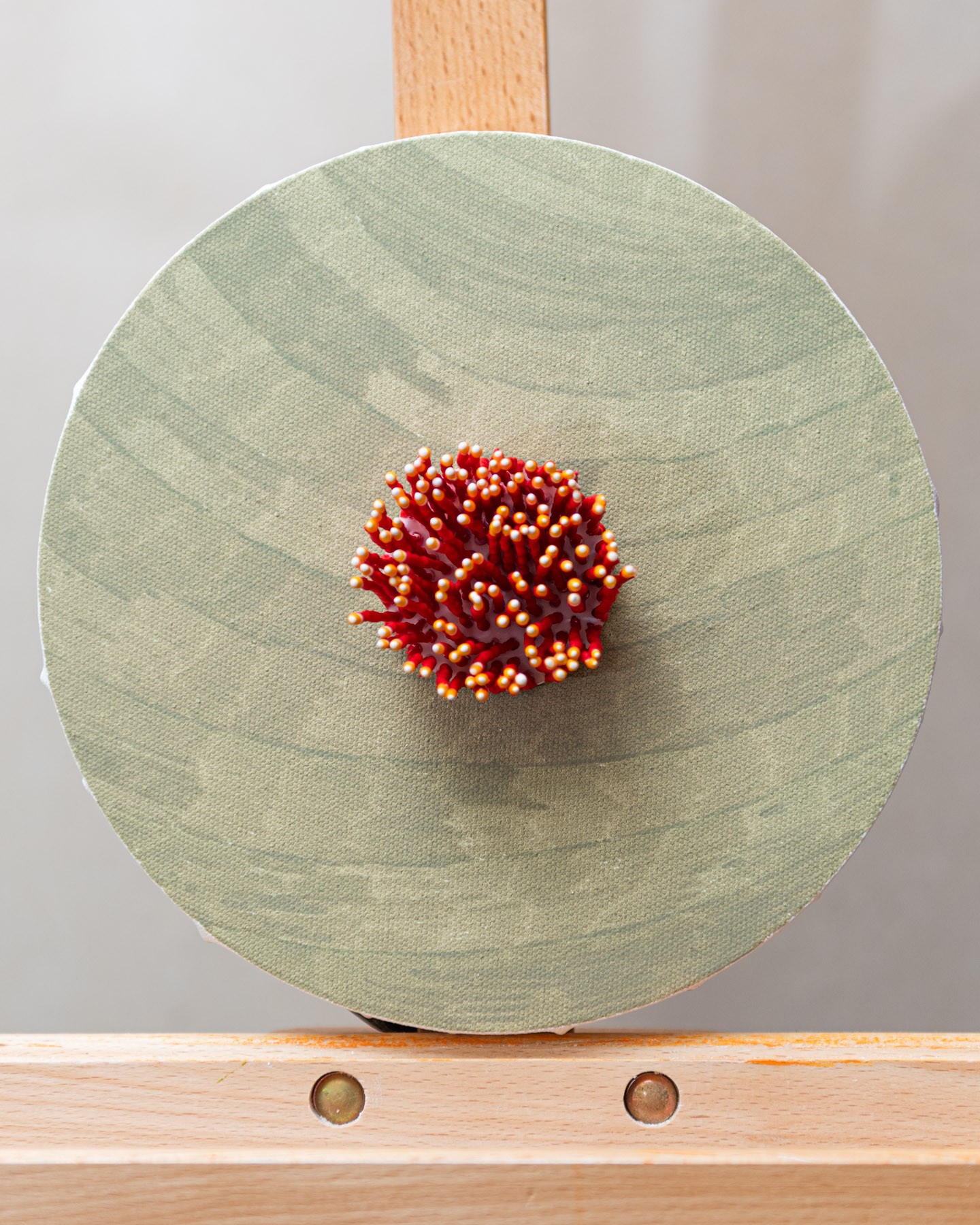Merawa, 2026. Anthesis Series. Wearable Art Brooch - Image 9