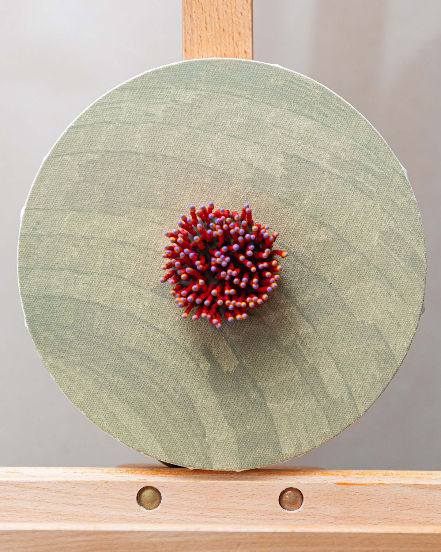 Sylune, 2026. Anthesis Series. Wearable Art Brooch - Image 9