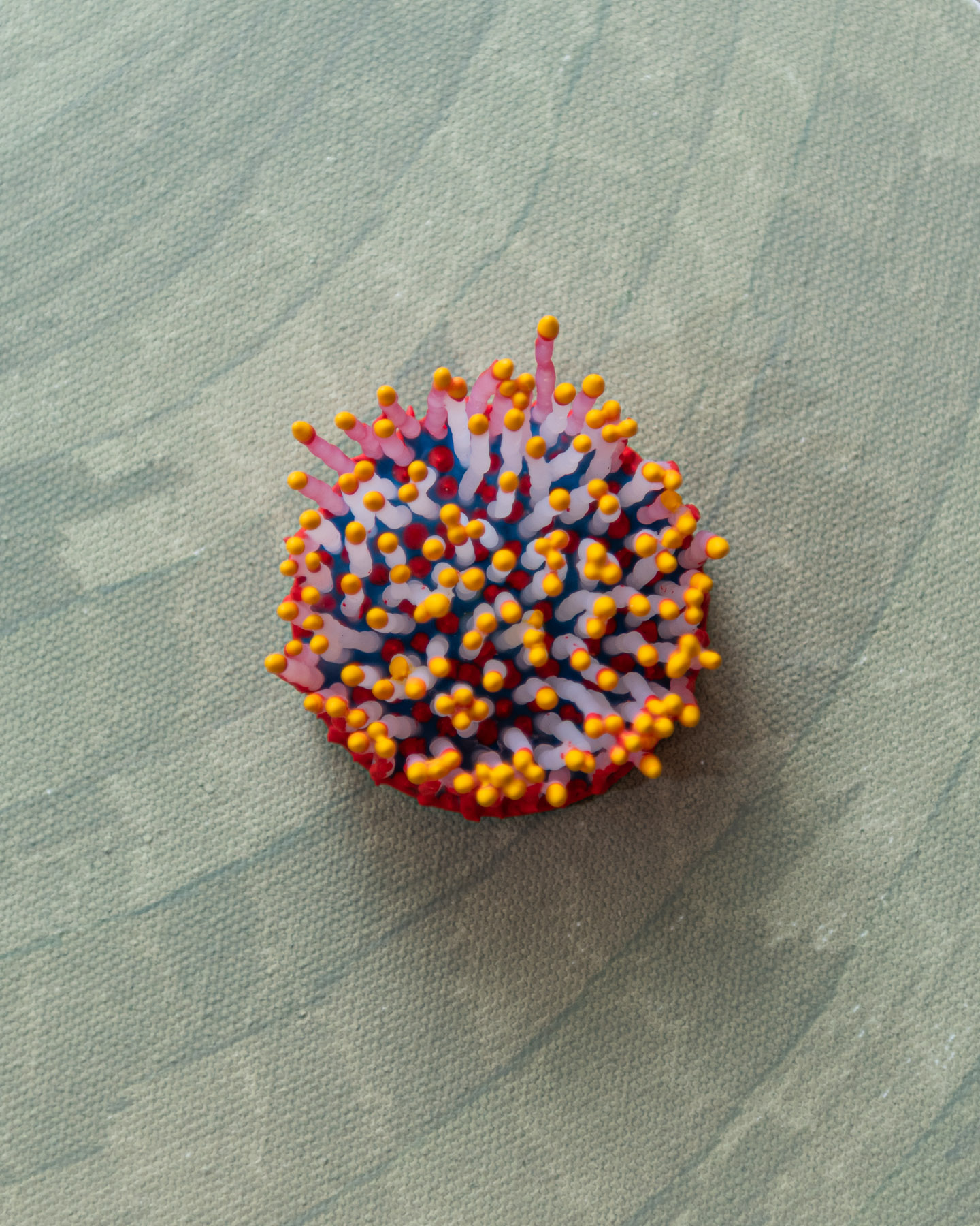 Talune, 2026. Anthesis Series. Wearable Art Brooch - Image 10