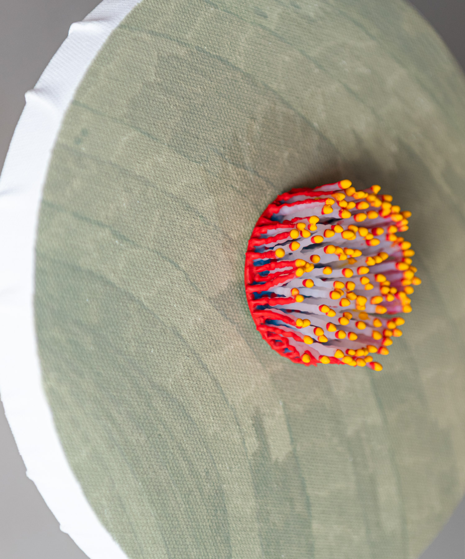 Talune, 2026. Anthesis Series. Wearable Art Brooch - Image 11