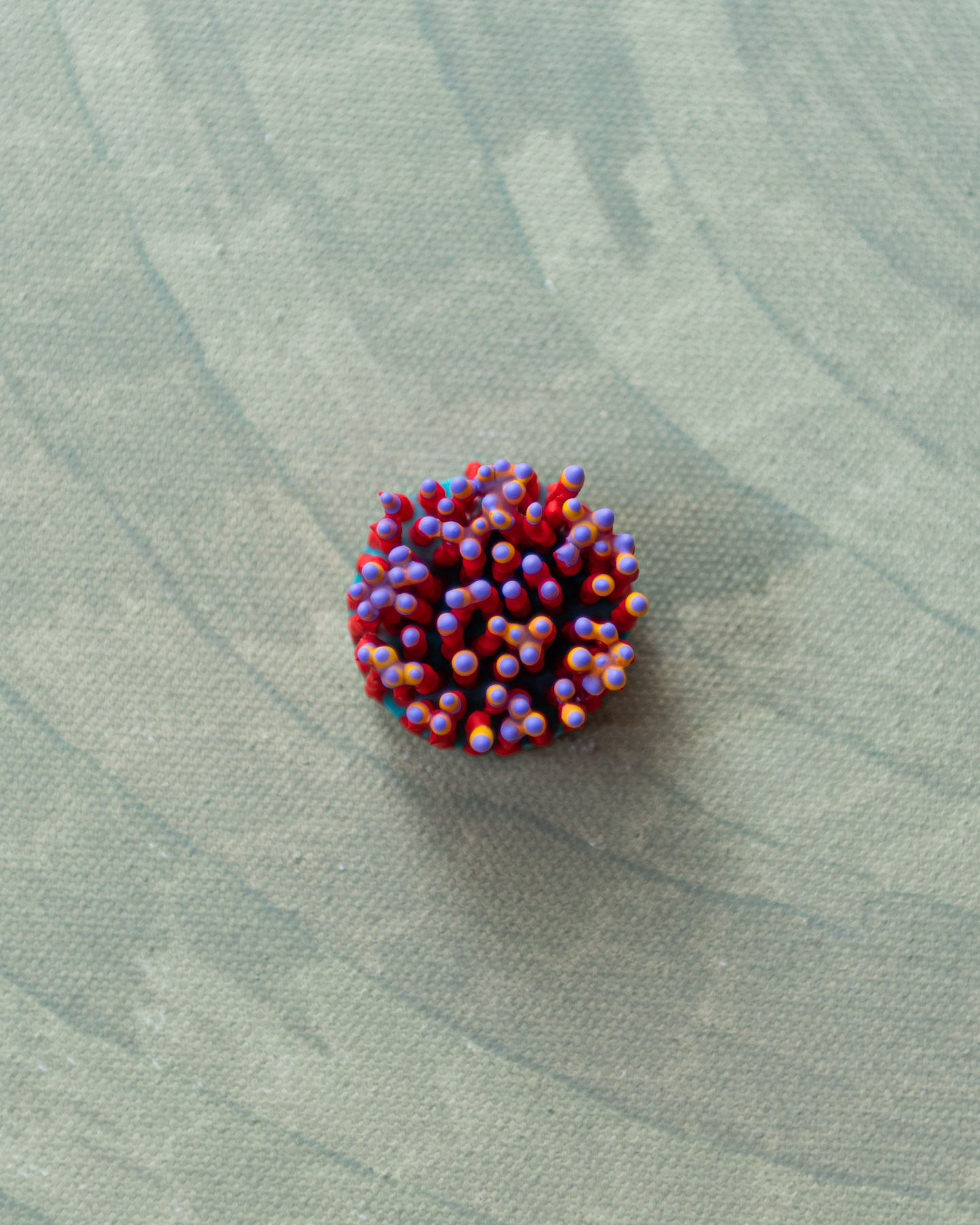 Veliora, 2026. Anthesis Series. Wearable Art Brooch - Image 9