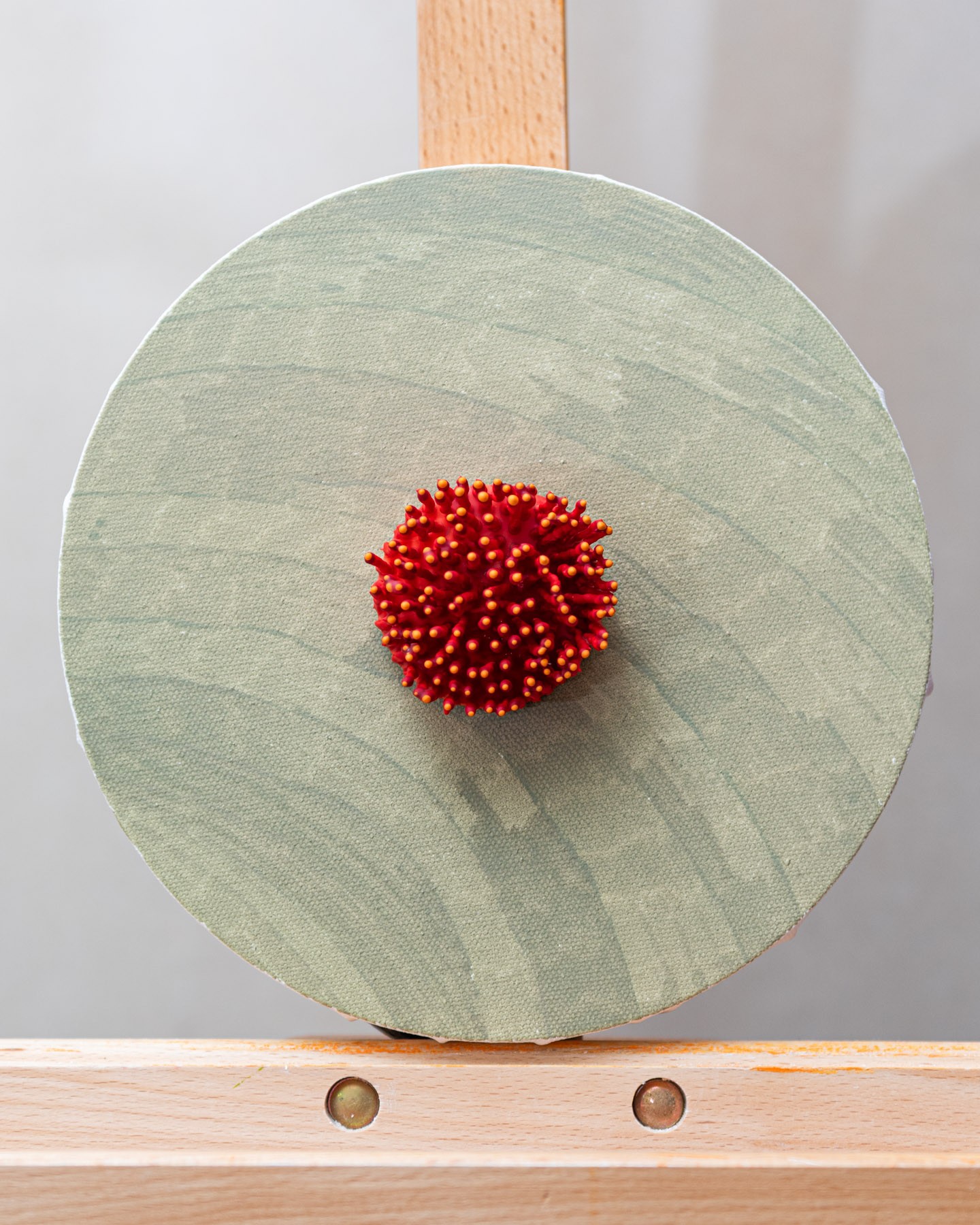 Virell, 2026. Anthesis Series. Wearable Art Brooch - Image 9