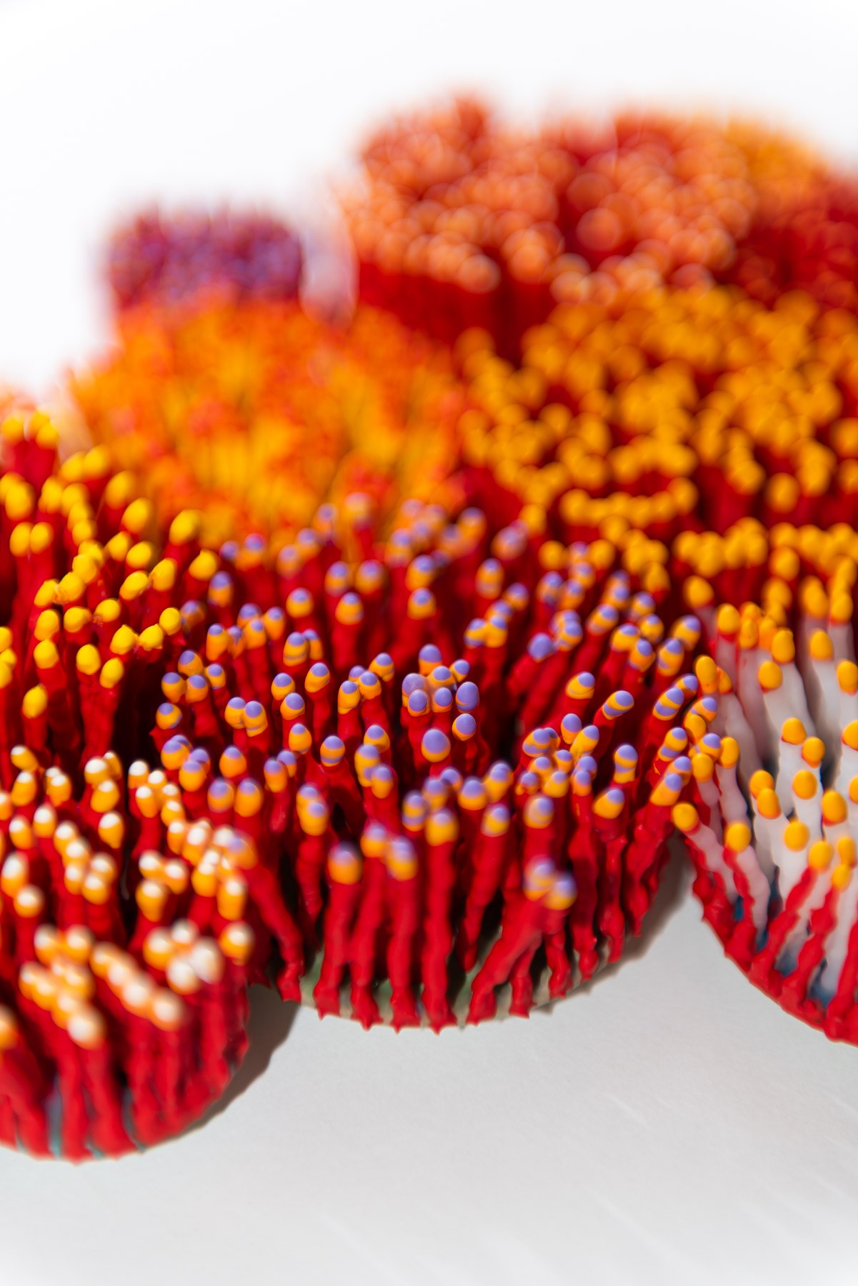 Lumera, 2026. Anthesis Series. Wearable Art Brooch - Image 27