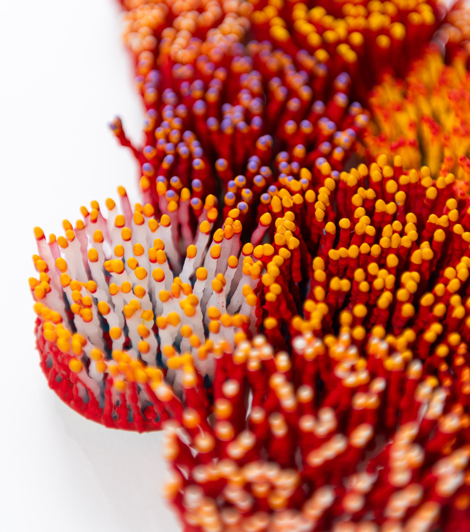 Lumera, 2026. Anthesis Series. Wearable Art Brooch - Image 26