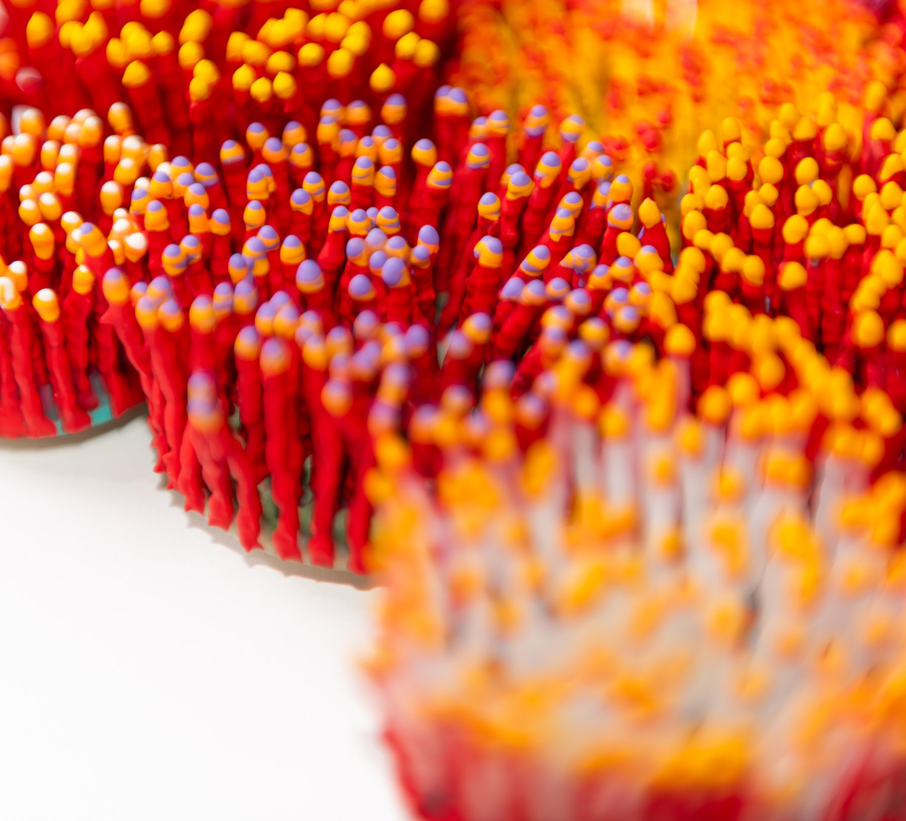 Lumera, 2026. Anthesis Series. Wearable Art Brooch - Image 25
