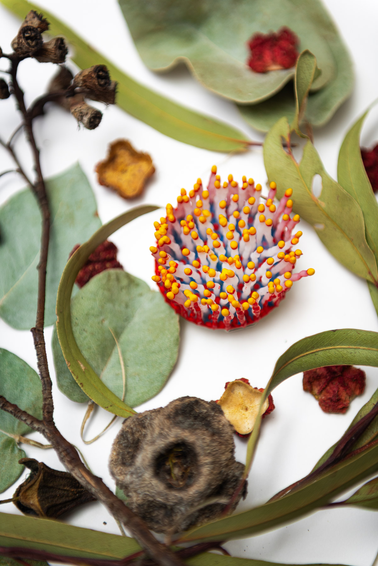 Talune, 2026. Anthesis Series. Wearable Art Brooch - Image 6