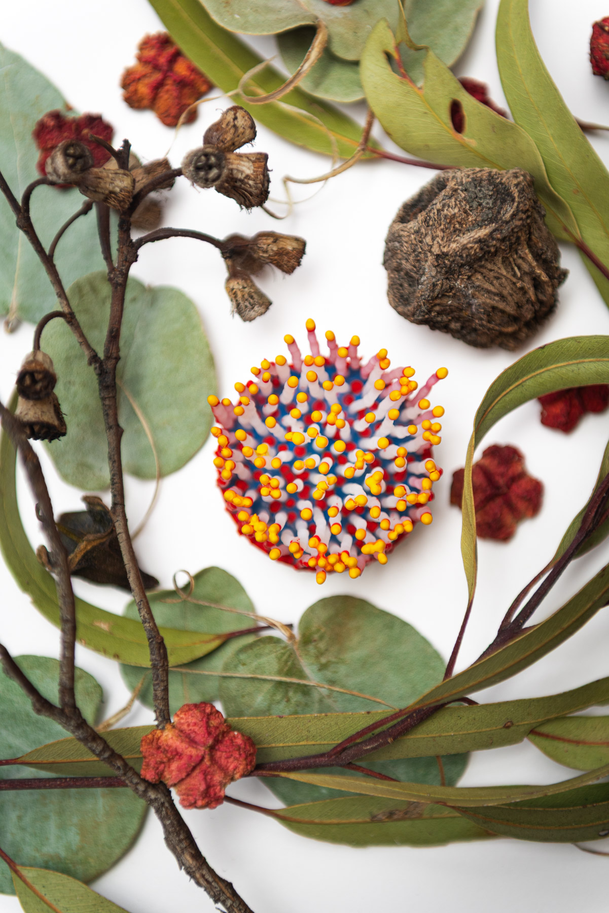 Talune, 2026. Anthesis Series. Wearable Art Brooch