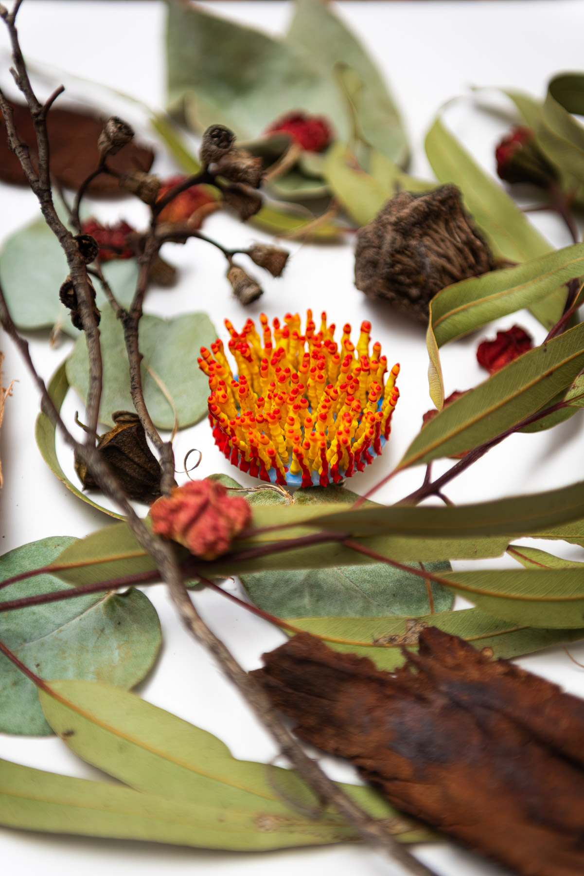 Aureth, 2026. Anthesis Series. Wearable Art Brooch - Image 11