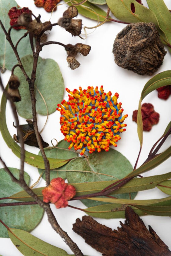 Aureth, 2026. Anthesis Series. Wearable Art Brooch