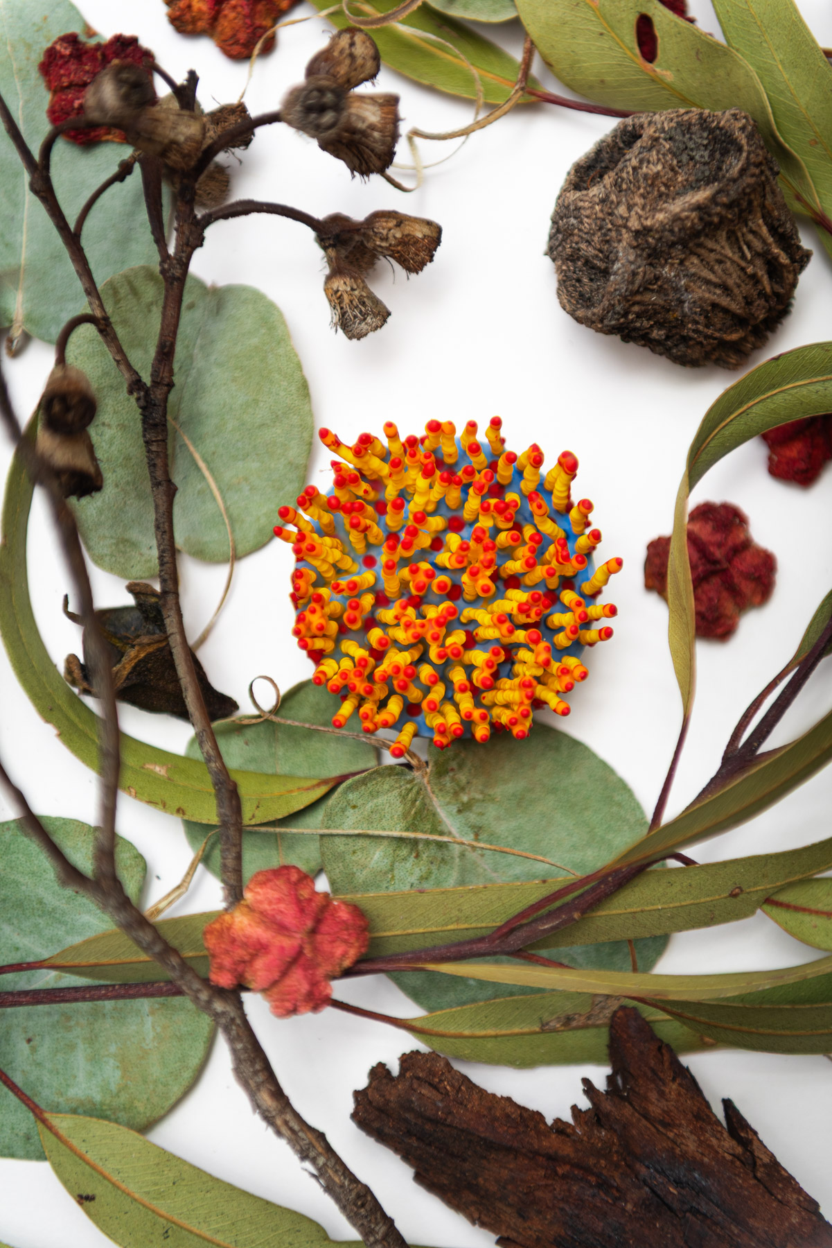 Aureth, 2026. Anthesis Series. Wearable Art Brooch