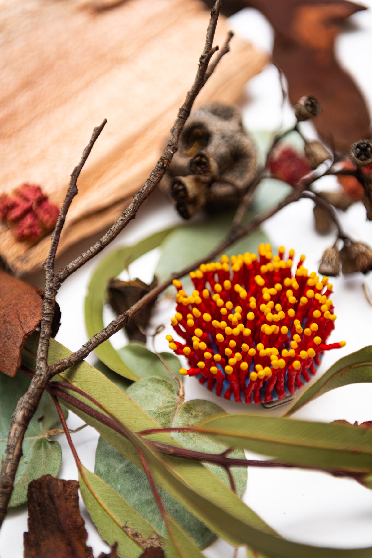 Lumera, 2026. Anthesis Series. Wearable Art Brooch - Image 6