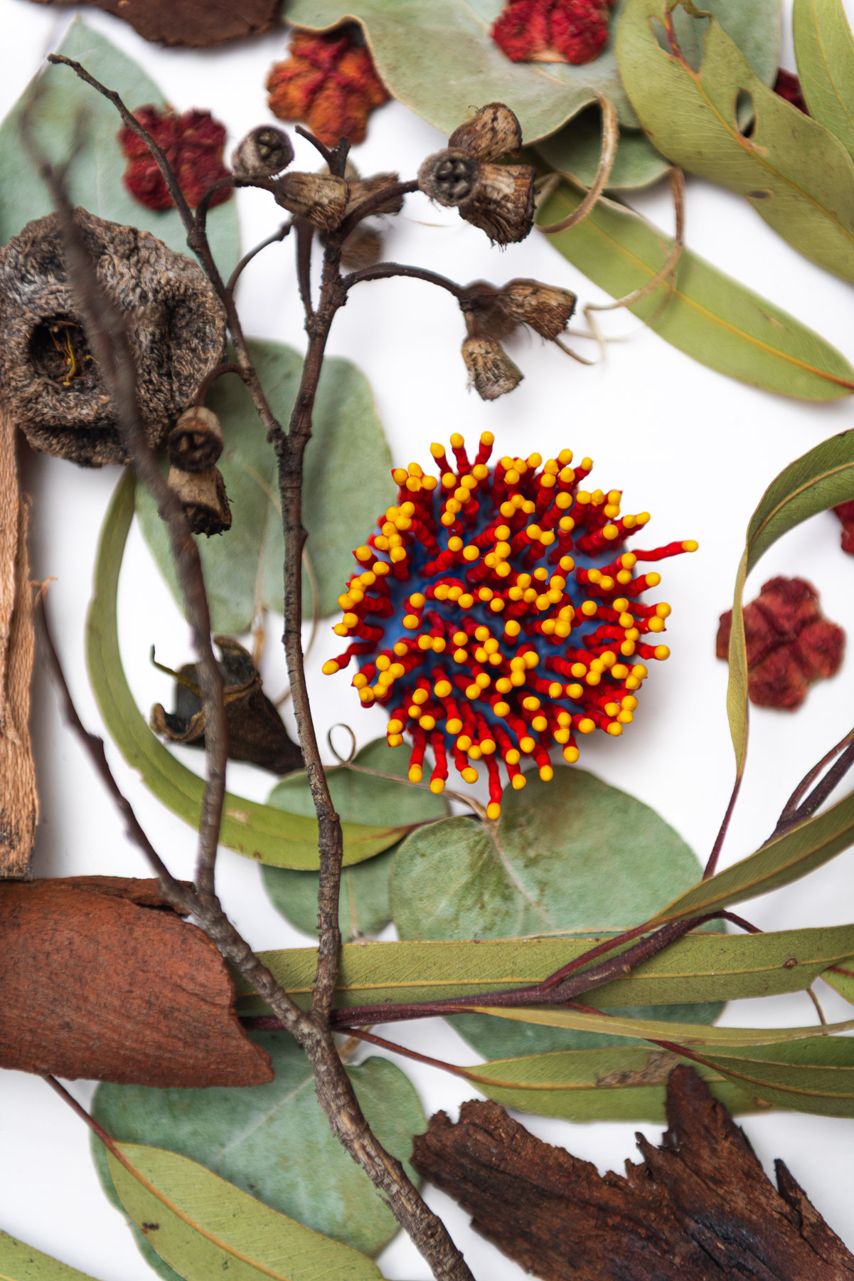 Lumera, 2026. Anthesis Series. Wearable Art Brooch