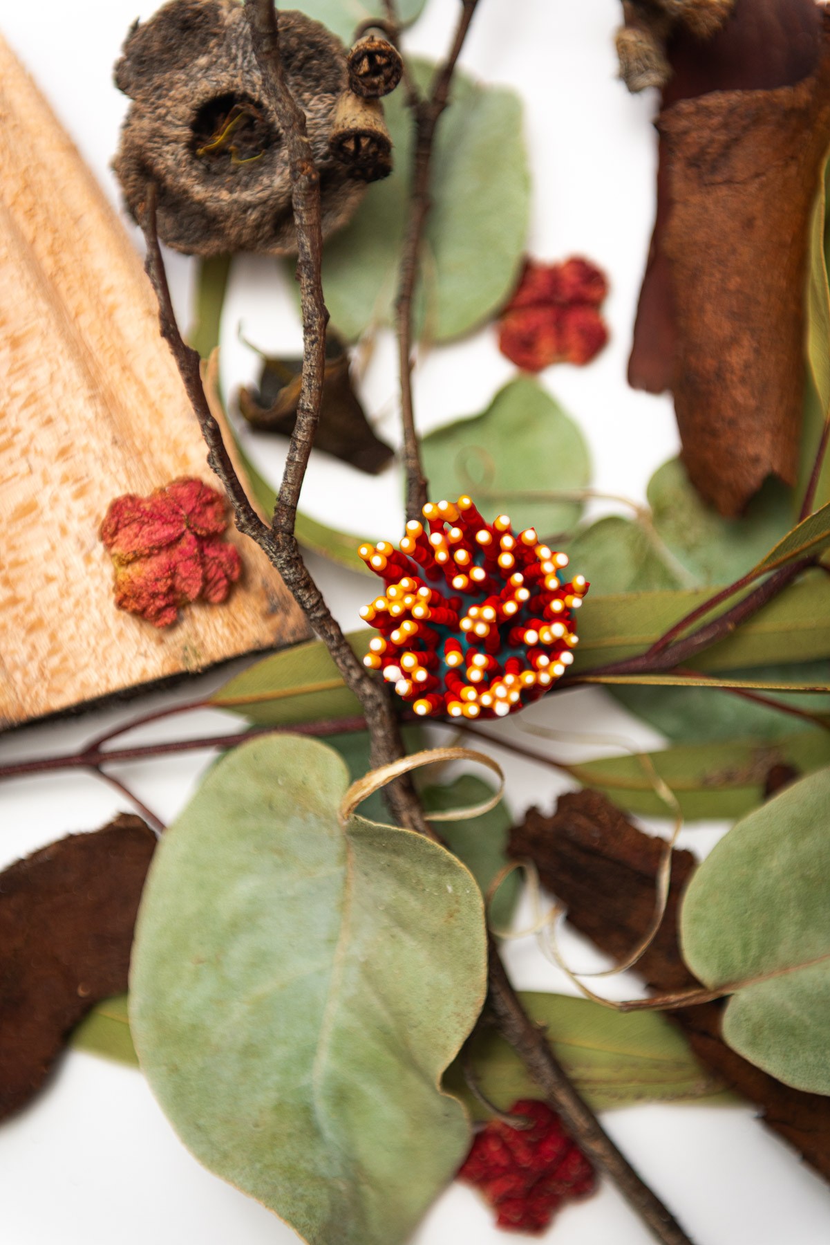Corenya, 2026. Anthesis Series. Wearable Art Brooch - Image 6