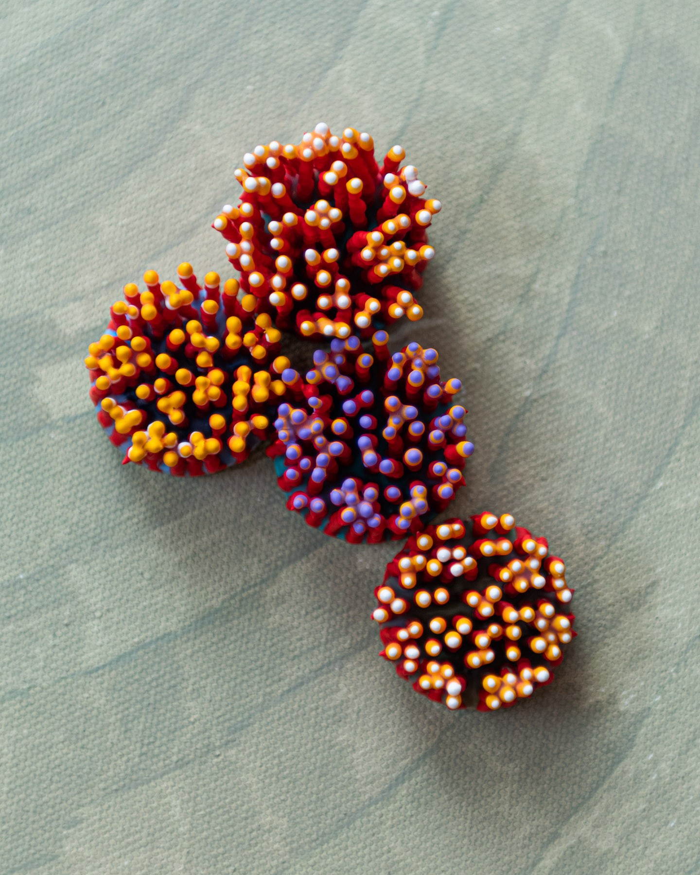 Oryssa, 2026. Anthesis Series. Wearable Art Brooch - Image 15