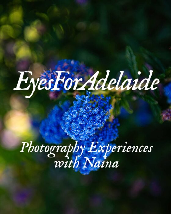 Photography Experiences